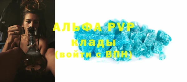 мдпв Каменка