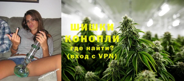 мдпв Каменка